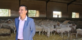 El Gobierno regional espera ovino-caprino accedan a fondos CE