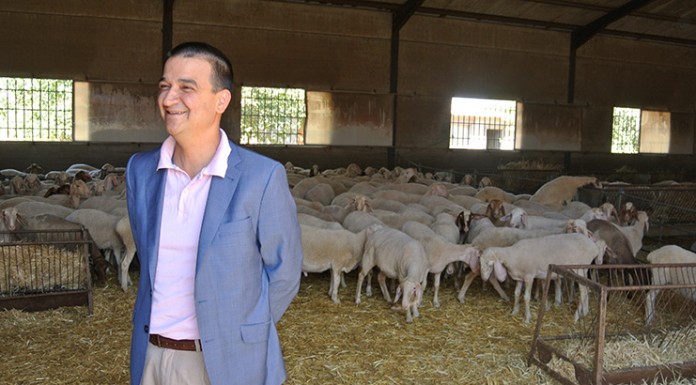 El Gobierno regional espera ovino-caprino accedan a fondos CE