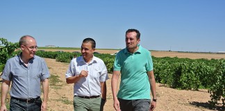 El Gobierno convocaría una nueva línea de ayudas de incorporación