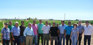 El Gobierno regional augura una buena vendimia