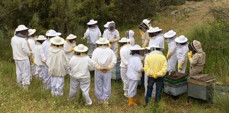 El Borril prepara importantes novedades para el curso 2016-17