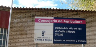 La Enológica de Alcázar reabrirá oficialmente el 1 de julio