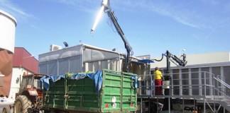 2,55 pesetas/kilogrado la blanca y 4,05 la tinta, primeros precios de la uva en la DO Valdepeñas en esta vendimia