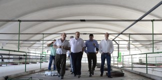 El sector vitícola podrá acogerse de nuevo a las ayudas FOCAL