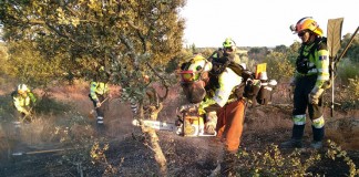 Se reduce la superficie afectada por incendios en un 45,6%