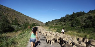 Unión de Uniones insiste en la importancia socioeconómica del medio rural