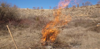 Del 1 al 31 de octubre. Prohibido quemas de restos agrícolas en áreas de monte quema de rastrojos