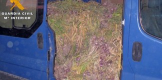 Dos detenidos por robar ajos y una furgoneta para transportalos