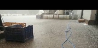 Granizando sobre almazara de Valdepeñas