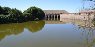 El Guadiana vuelve a aportar agua a Las Tablas de Daimiel