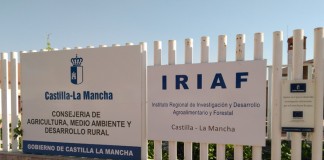 Jornada en el IRIAF sobre variedades minoritarias de vid