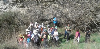 La Diputación de Toledo oferta 42 paseos naturales singulares toledanos