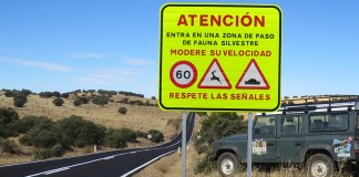 Proyecto para evitar muertes de linces en carreteras