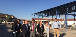 Desde el Gobierno regional auguran una vendimia con rentabilidad económica