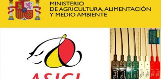 Adelante la nueva extensión de norma en el sector del cerdo ibérico