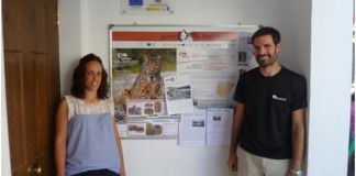 Fuencaliente estrena el décimo ‘Punto de Información’ sobre el lince ibérico