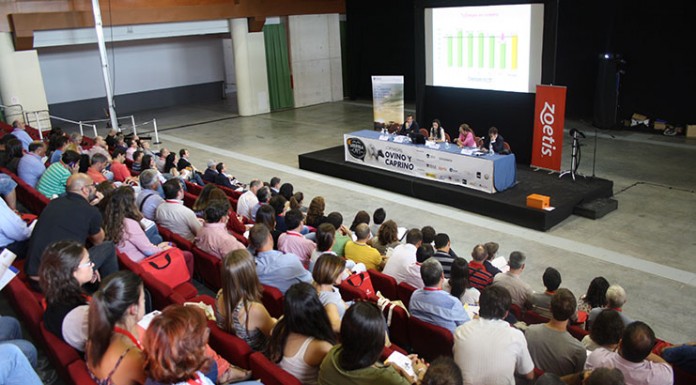 El Brexit dejará al ovino español como líder de la Unión Europea