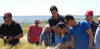 ASAJA pide que se considere jóvenes agricultores hasta los 45 años