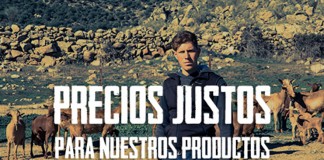 UPA clama por “precios justos” ante dramática situación de los mercados