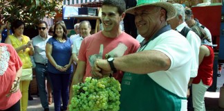 El mejor racimo de Villarrubia de los Ojos pesa 5,2 kilos