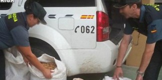 Robos de almendra en las provincias de Ciudad Real y Toledo