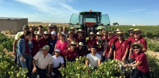 Compradores de vino chinos participan en la vendimia de ‘El Progreso’