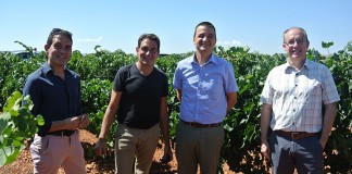 Plan de control de calidad en viñas y bodegas único en España