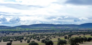 Magrama ve «inviable» el proyecto de extracción de tierras raras ciudadrealeño
