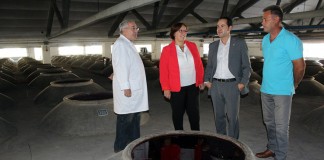 La cooperativa ‘San José’, de Herencia, reduce su cosecha de uva