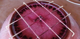 La calidad de la uva en DO Manchuela augura grandes vinos