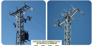 APAM valora que Iberdrola haya sido sancionada por infracciones contra naturaleza