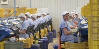 La Cooperativa ajera ‘San Julián’, ejemplo de protagonismo de las mujeres