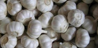 Ajos robados en Cuenca se vendían en Badajoz