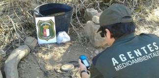 Desmantelan varias redes dedicadas al furtivismo en Castilla-La Mancha