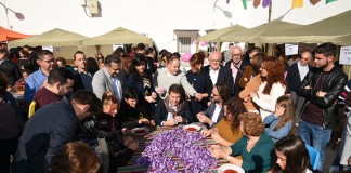 El Gobierno regional primará cultivo del azafrán en convocatoria FOCAL