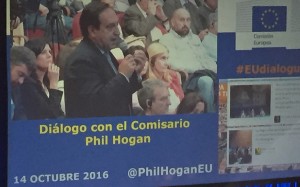 barato-phil-hogan
