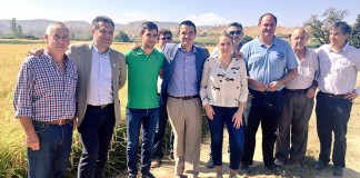 El Gobierno regional defiende cultivo de arroz de la DO ‘Calasparra’