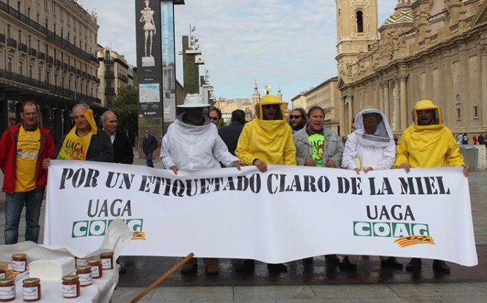 concentracion-apicola