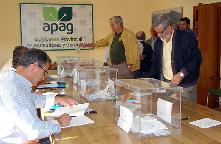 elecciones-apag