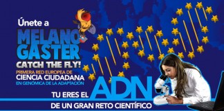 Tomelloso, elegida para proyecto europeo que estudia la mosca de fruta