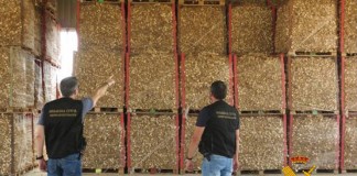 Diez detenidos por sustraer 1.850 kilos ajos morados en provincia Albacete