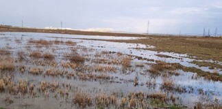 Graves inundaciones en La Sagra por numerosas averías en Red Regadío