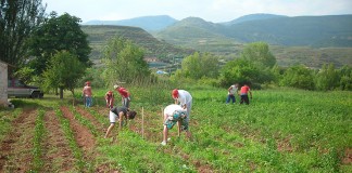 Piden exoneración cuota agraria por inactividad a inscritos en censo agrario trabajadores