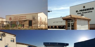 La cooperativa de segundo grado ‘Vidasol’, a falta de un último paso