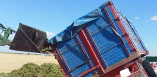 Vuelcan dos tractores con remolque en Camino Cirujano (Argamasilla de Alba)