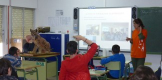 “El lince en el cole” llegará 2.000 escolares toledanos