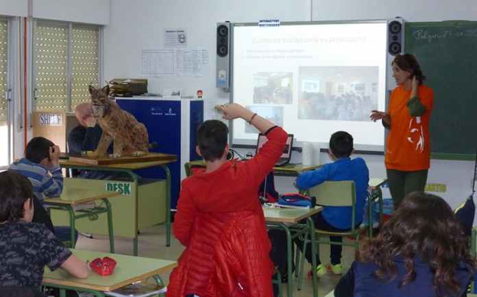 desarrollo-del-programa-el-lince-en-el-cole-13112016