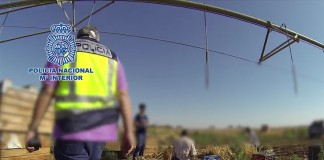 La Policía Nacional desarticula un grupo que explotaba a ciudadanos búlgaros en fincas agrícolas de Albacete