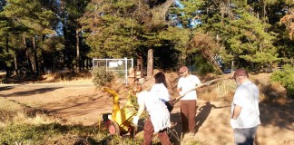 Taller de empleo dedicado a la Conservación y Mejora de Montes