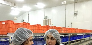 García Casado conoce proyectos cooperativa de ajos San Isidro el Santo